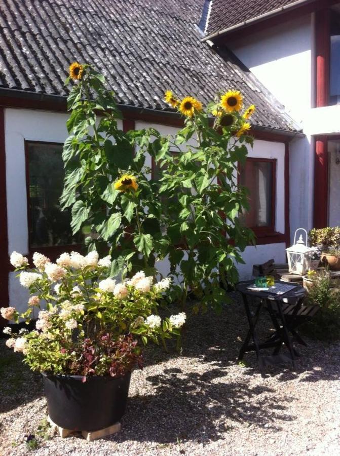 Praestogaard Bed and Breakfast Εξωτερικό φωτογραφία