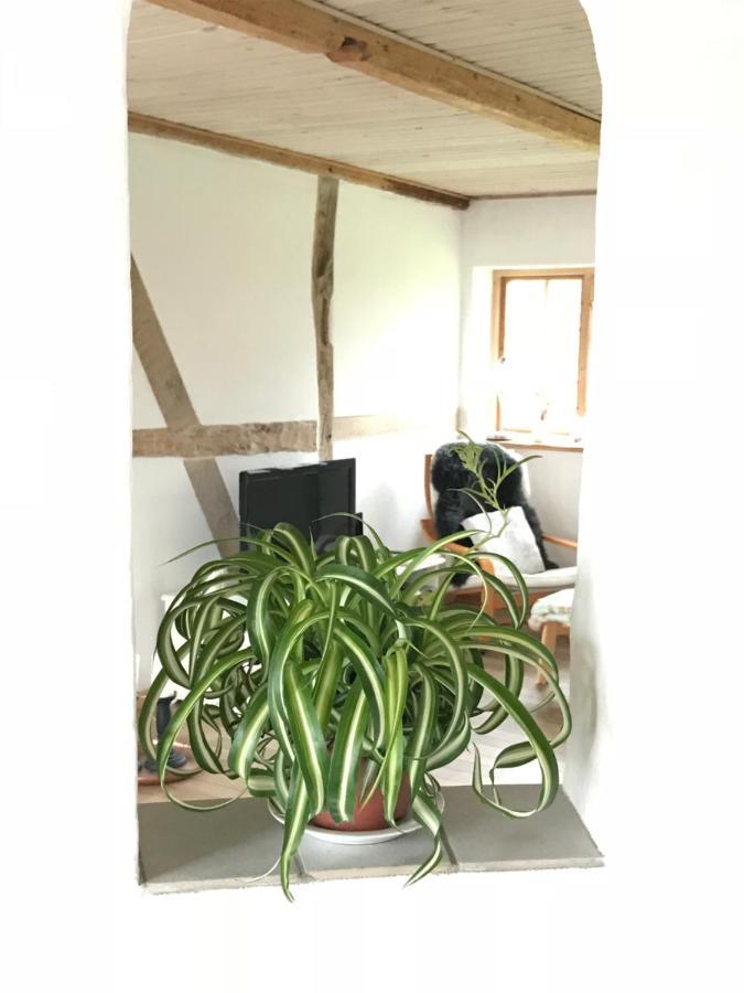 Praestogaard Bed and Breakfast Εξωτερικό φωτογραφία